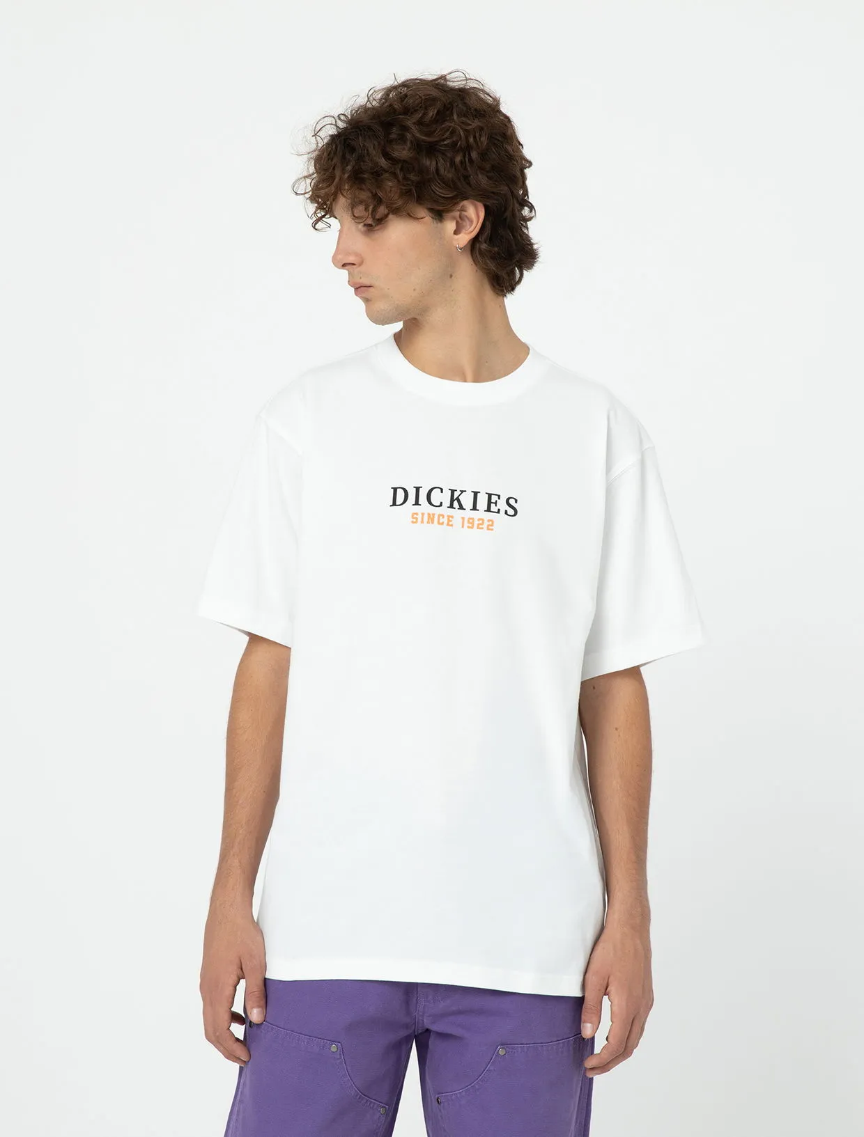 DICKIES PARK TSHIRT