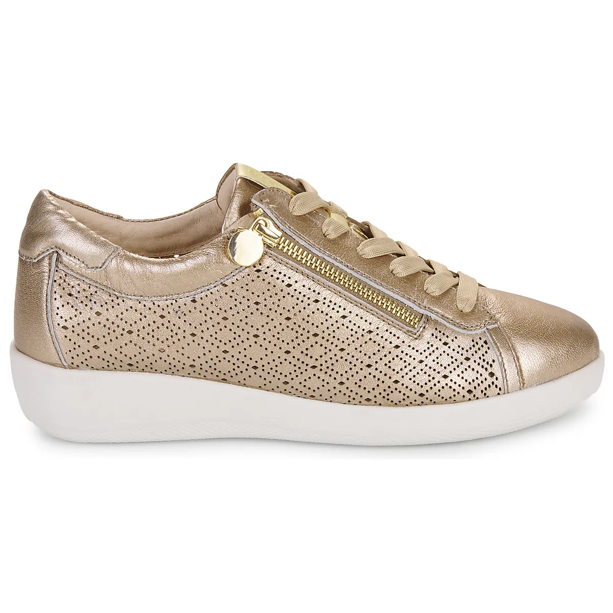 PASEO IV 29 LAMINATED LTH