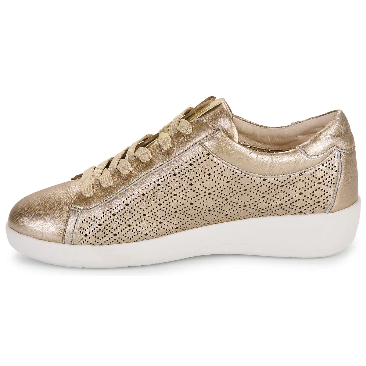 PASEO IV 29 LAMINATED LTH