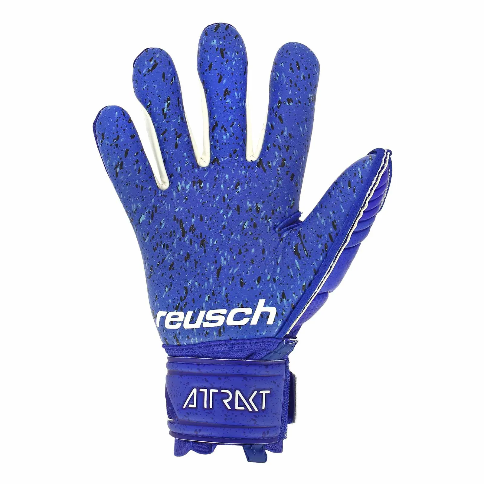 Reusch Attrakt Fusion Guardian
